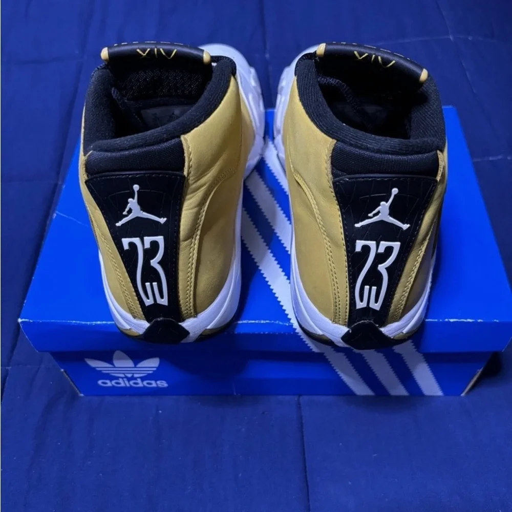 Jordan 14 retro